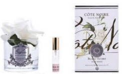 Ароматизированная роза, цвет слоновая кость,  прозрачная ваза, 1 спрей Д  16х10,5х10,5 см FRENCH ROSE ivory, арт. GMR01 COTE NOIRE