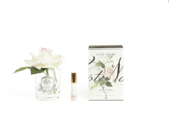 Ароматизированная роза, цвет светло-розовый,  прозрачная ваза, 1 спрей 15 мл  Д  16х10,5х10,5 см, FRENCH ROSE blush, COTE NOIRE GMR02