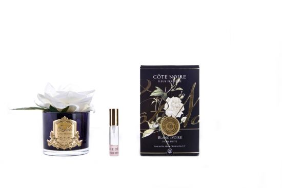 Ароматизированная роза, цвет слоновая кость,  черная  ваза, 1 спрей                             Д  16х10,5х10,5 см FRENCH ROSE ivory, арт. GMRB01 COTE NOIRE