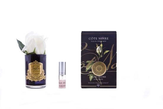 Ароматизированная роза, слоновая кость,  черная ваза, 1 спрей     Д  13,5х8х8 см ROSE BUD ivory, арт. GMRB41 COTE NOIRE