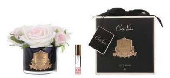 Букет из 5 роз ароматизированный, цвет светло-розовый, черная ваза, 1 спрей  Д  17х17х17 см FIVE ROSE Pink blush, арт. GMRB62 COTE NOIRE