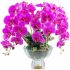 Орхидея в вазе, розовая, CPO09, 50 х 50 х В60 см., COTE NOIRE