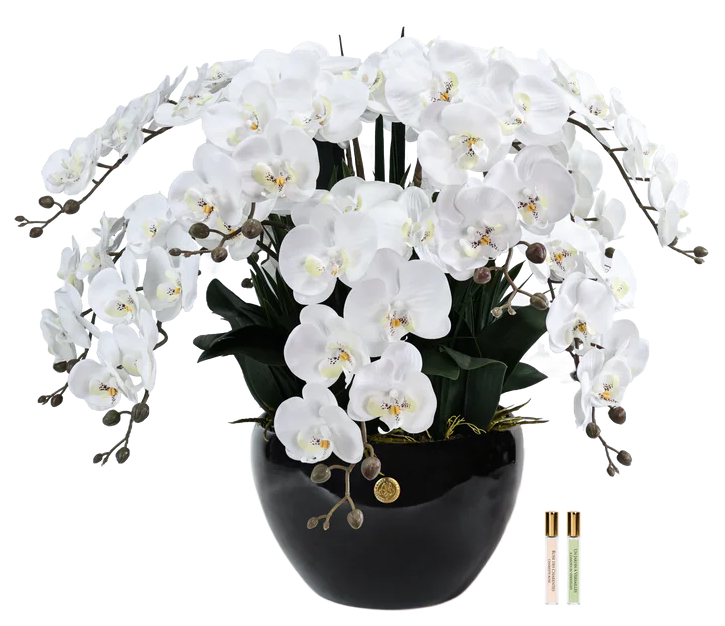 LUXURY GIANT ORCHID WHITE   Большой букет орхидей, белый
