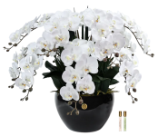 LUXURY GIANT ORCHID WHITE   Большой букет орхидей, белый
